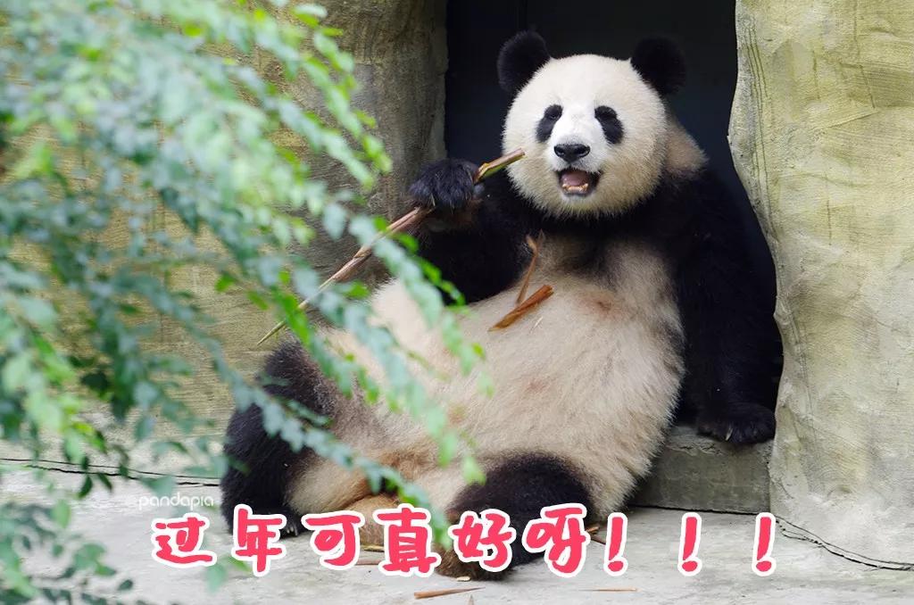 火爆全网!熊猫麻将怎样查出开挂-原来有技巧”详细教程辅助工具