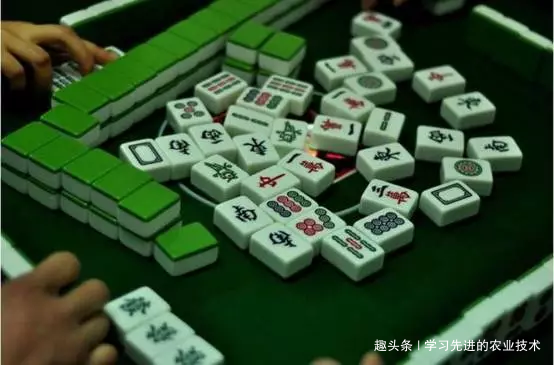 3分钟教你科普“新红中麻将有没有挂”(原来真的有挂)-知乎 