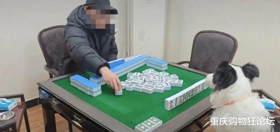 一分钟教你“四川巴蜀麻将开挂方法(确实有挂)-知乎