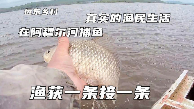 必看盘点揭秘!科普麻将机手机万能解码设备“推荐9个购买渠道