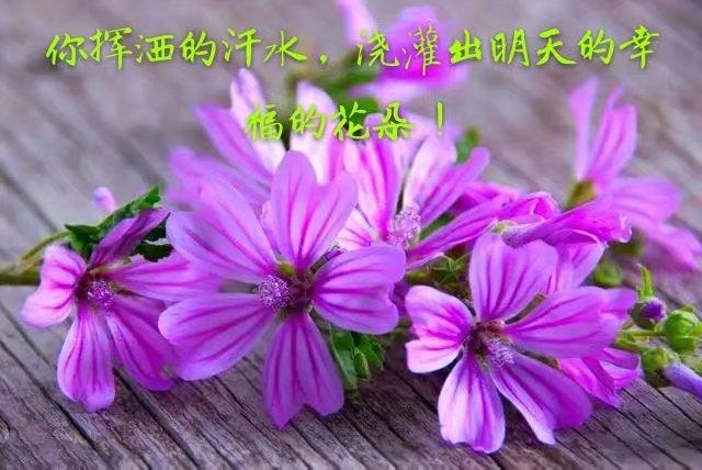 玩家必备攻略“小程序跑得快怎么开挂”详细教程辅助工具
