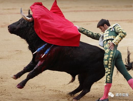 实测分享“打斗牛怎么出—详细解说+新浪科技