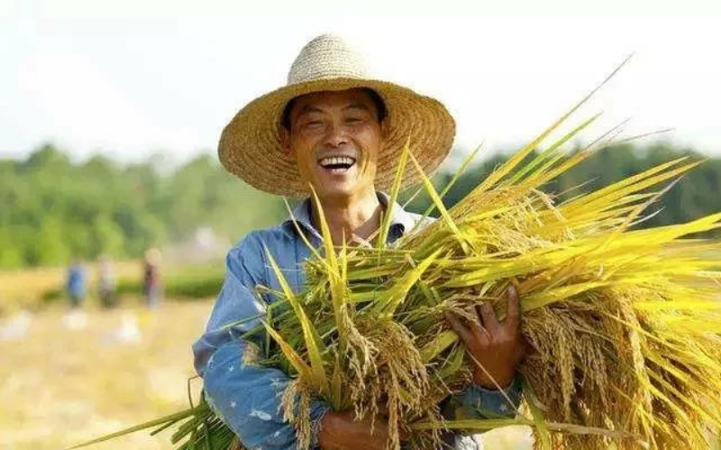 海草拼三张的挂多少钱一天（海草拼三张透视挂免费版）