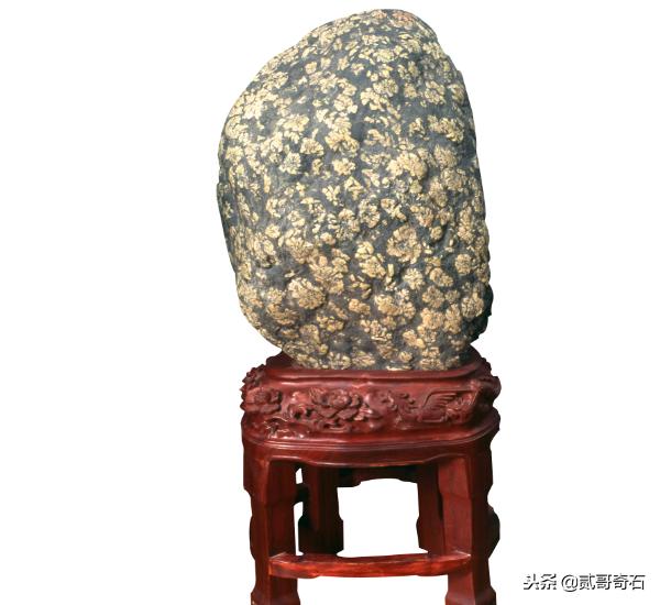 家乡大贰可以开挂吗（么么都莱游戏可以开挂吗）