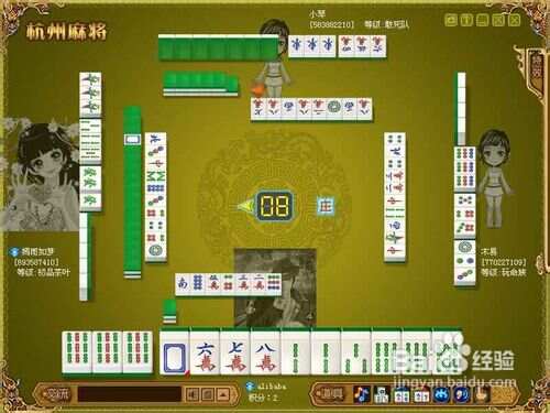 详细说明“杭州牌技教你麻将技巧_《爱问知识人 使用说明》