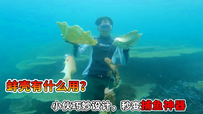 开挂捕鱼的视频（捕鱼开挂神器容易打的死鱼软件下载）