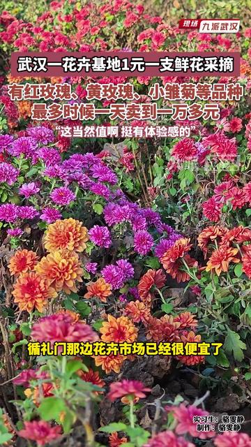 武汉哪里可以挂金花的牌子（武汉哪里进花便宜）