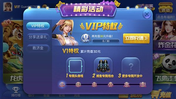 娱乐游戏网站的漏洞（利用网络游戏漏洞牟利）