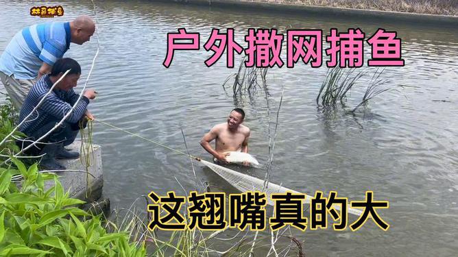 (2分钟介绍)“欢聚水鱼怎么开挂”-太坑了原来有挂