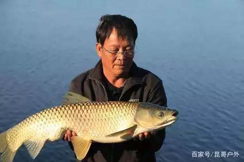 (2分钟介绍)“欢聚水鱼怎么开挂”-太坑了原来有挂