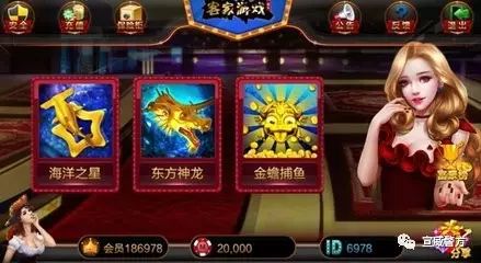 龙虎博彩规律（龙虎规律分析）
