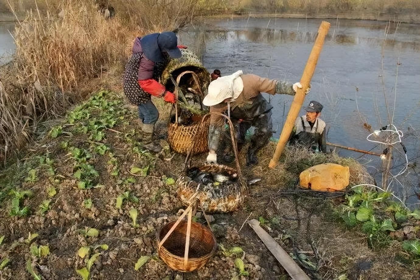 快捕鱼有漏洞吗（快捕鱼有漏洞吗安全吗）