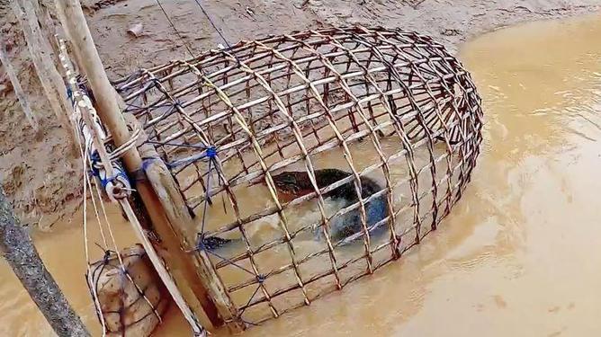 捕鱼网笼怎么下挂视频（捕鱼网的用法）