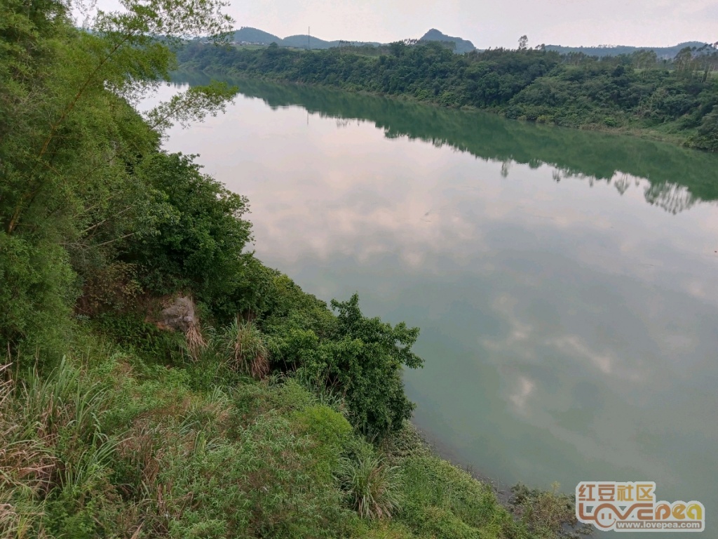 中至卧龙有挂买不（隆中卧龙）
