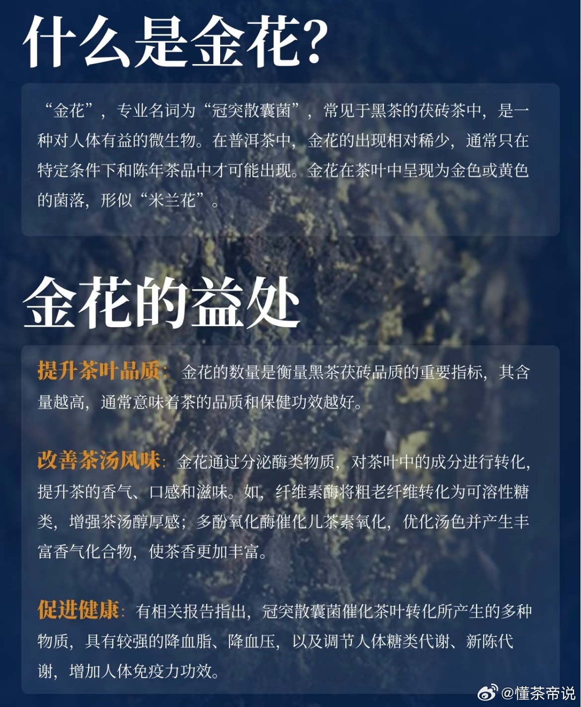 详细说明“金花技巧口诀“推荐6个购买渠道
