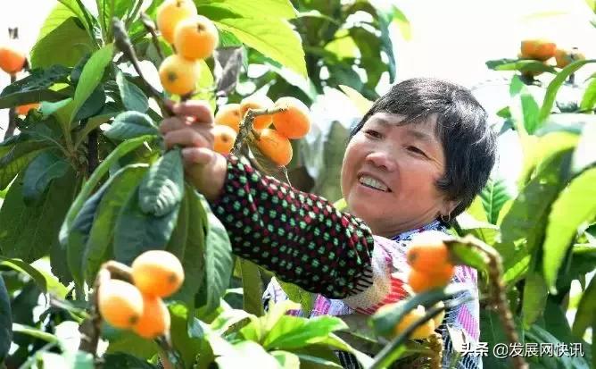 丫丫湖南麻将开挂软件的简单介绍