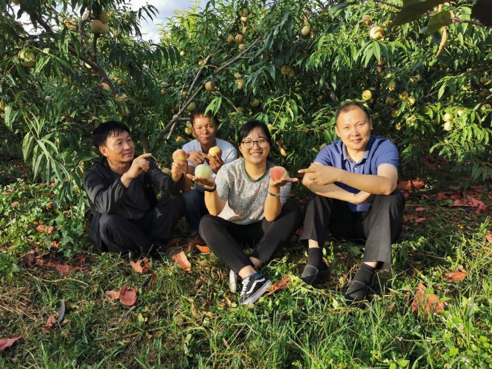 血战金花怎么开挂视频（血战金山百度百科）