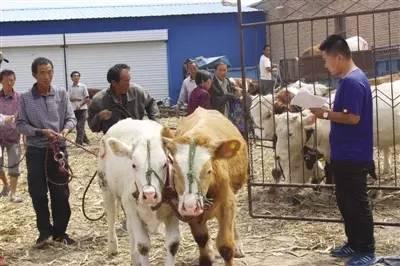 优选推荐“实用玉米识别1234设备有没有_《爱问知识人 使用说明》