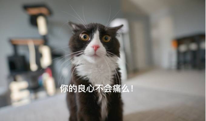 我来教教大家“五张斗牛手气不好如何转运《详细教程 新浪科技》