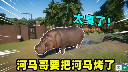 河马互娱透视（河马游戏公司怎样）